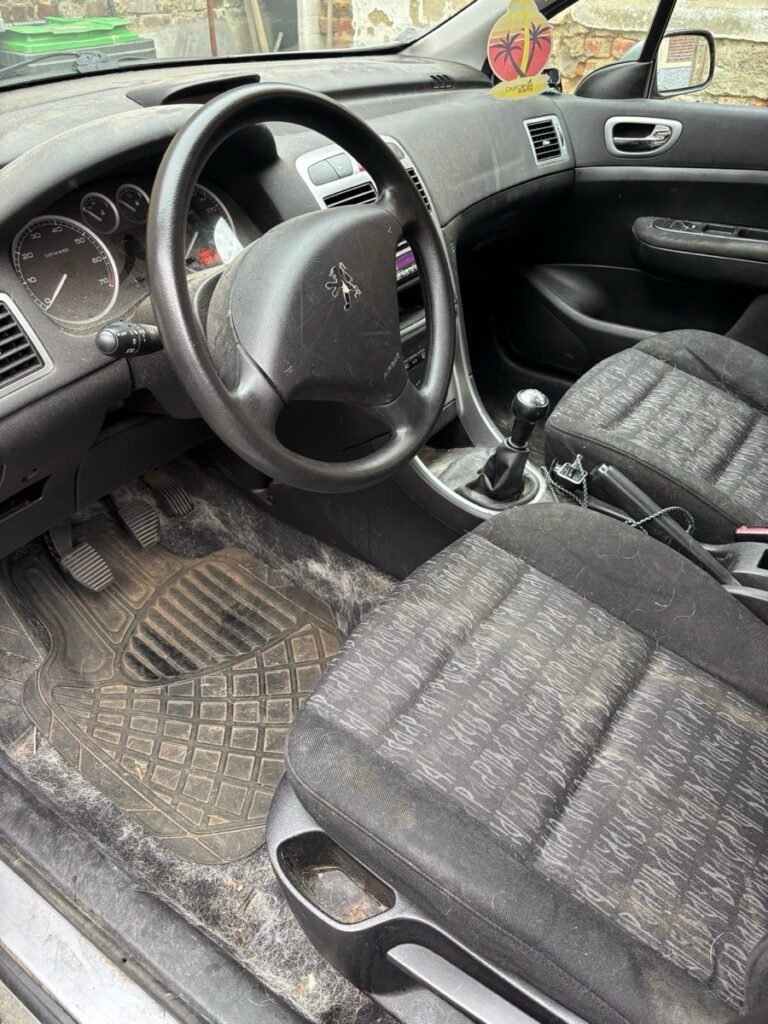 Peugeot 307 : avant nettoyage